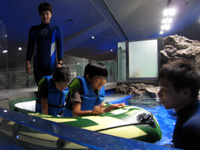 0805ペンギンプール.jpg