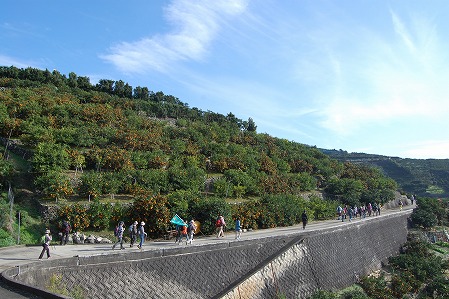s-DSC_0600.jpg