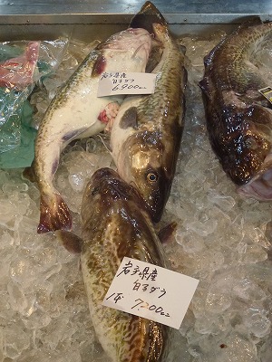 P1080781.jpg