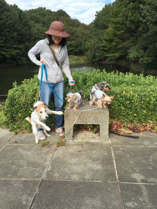 rblog-20161008015750-06.jpg