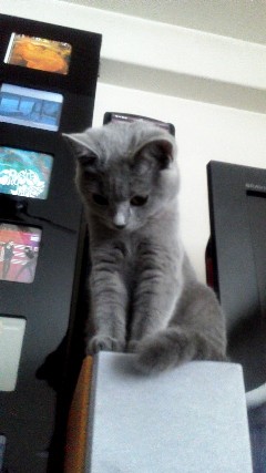 20130913115330.jpg