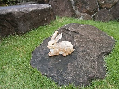 ウサギ-2