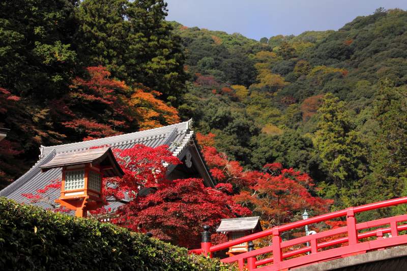 箕面公園_4-4・龍安寺.jpg