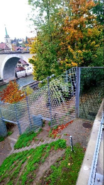 rblog-20181101192234-01.jpg