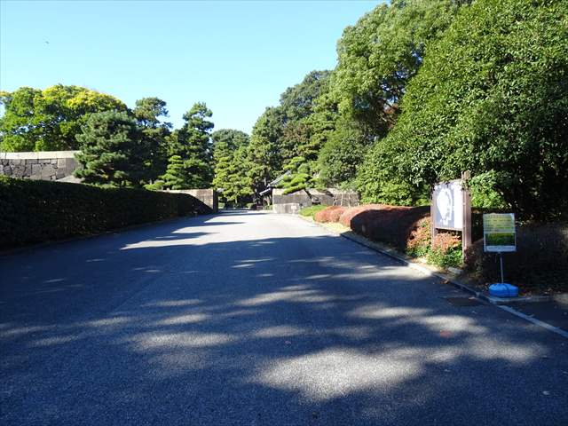 DSC07315_R.JPG