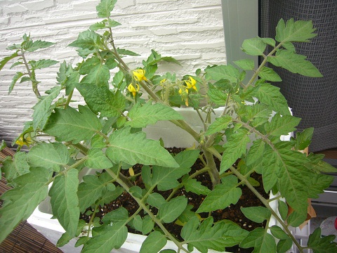 P1120009.JPG
