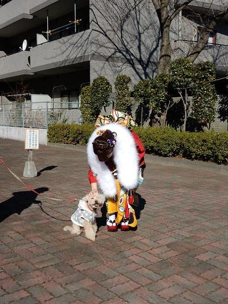 孫&孫犬