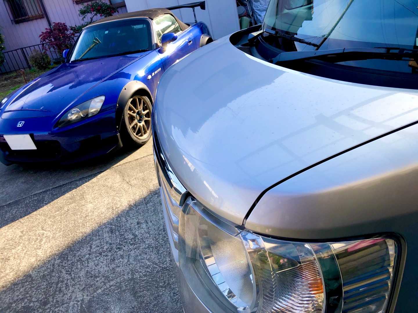 新着記事一覧 モチ日記 楽天ブログ