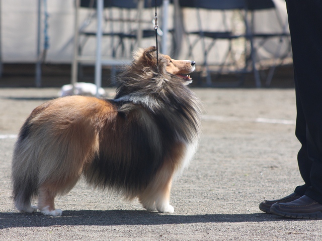 IMG_1035 - コピー.JPG