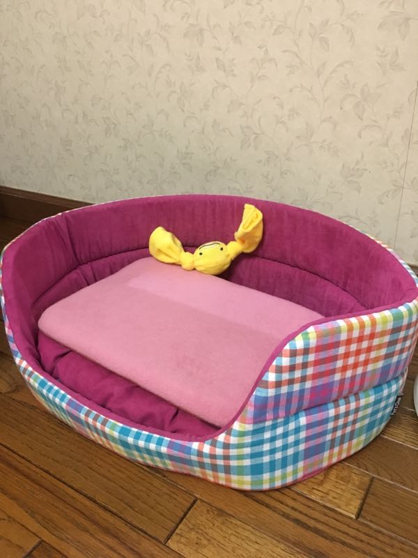 rblog-20170125213105-01.jpg