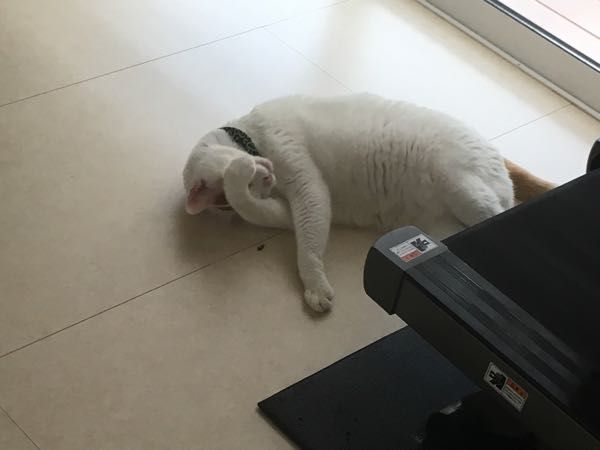 rblog-20180704061104-02.jpg