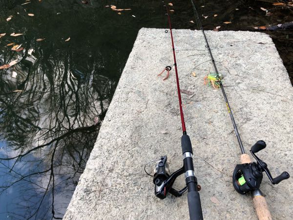 rblog-20190105182449-01.jpg
