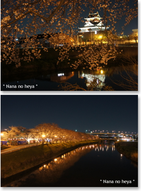 清州城　五条川　夜桜