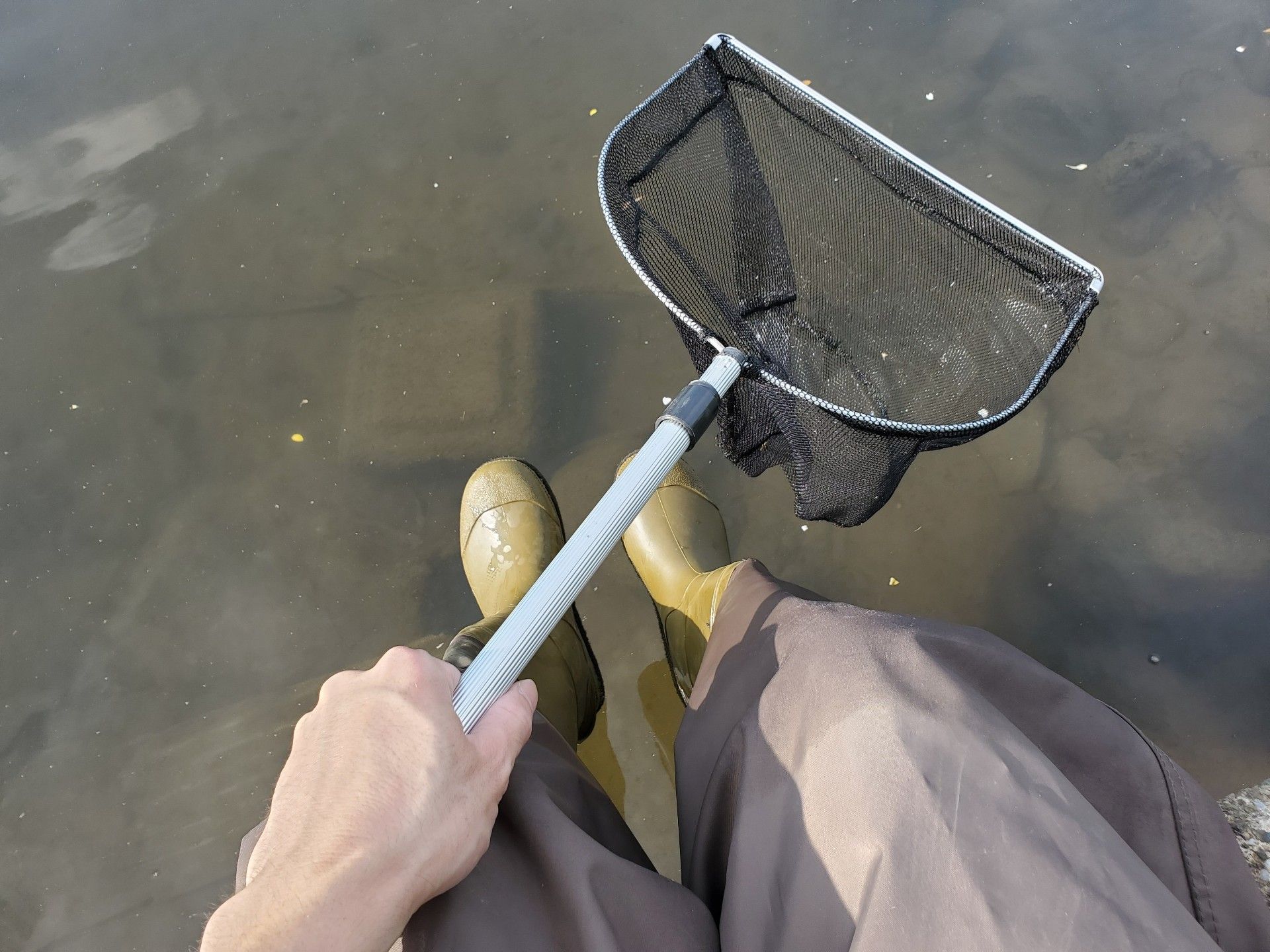 新着記事一覧 魚と日常ブログ 楽天ブログ