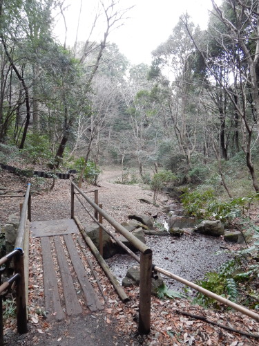 DSCN0027b20160131.jpg