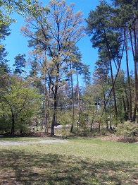130504_111018.jpg
