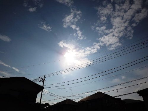 DSCF2582-b.jpg