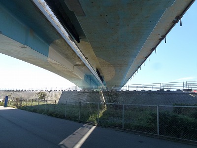 P1080421.jpg