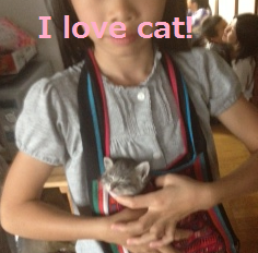 neko.png