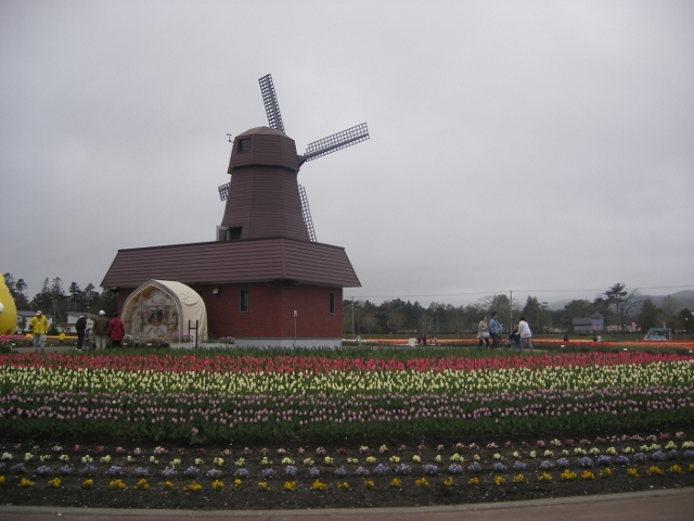 IMGP0106 (640x480).jpg