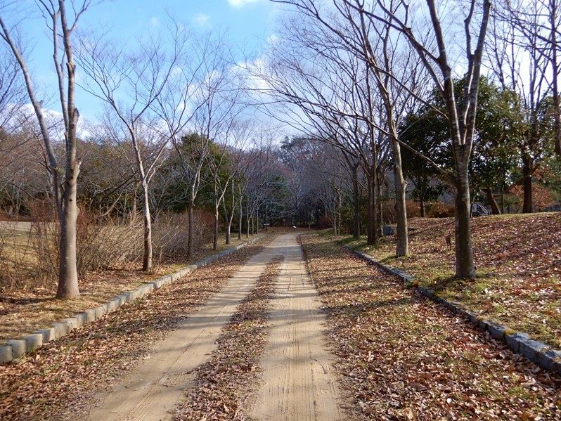 香りの丘1