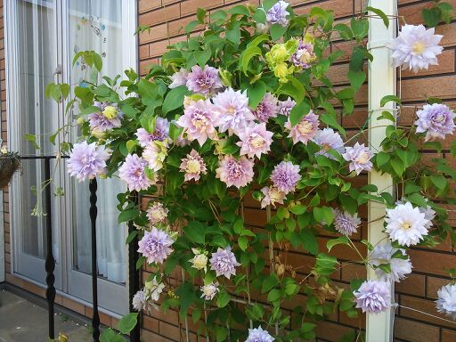 rblog-20140507214128-01.jpg