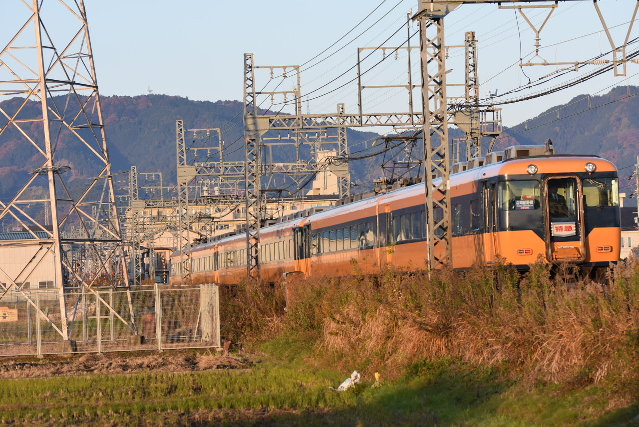 DSC_0686.JPG