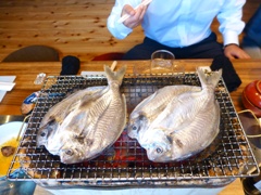 P1000772.JPG
