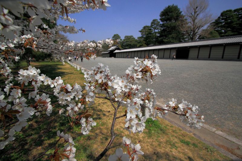 京都御所_002.jpg