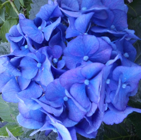 CA3H0869.jpg