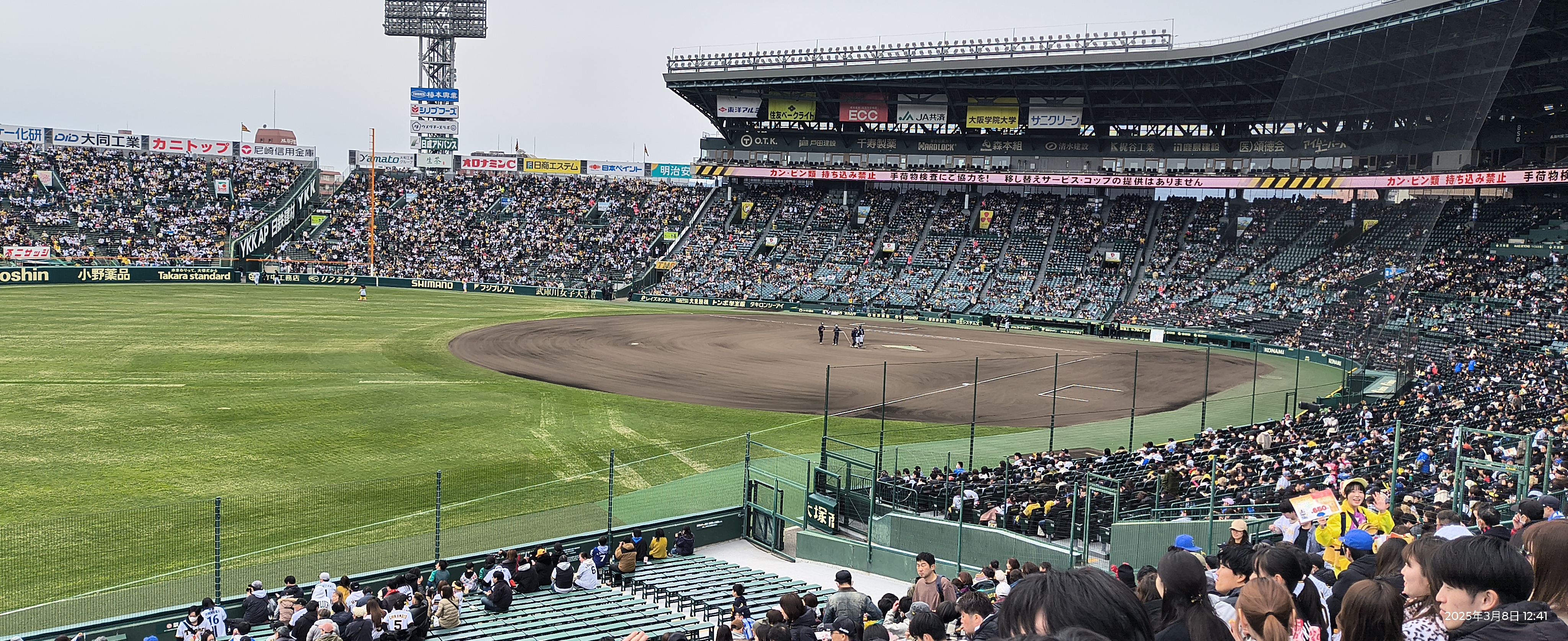 lovetigers_2772　タイガースとスポーツと