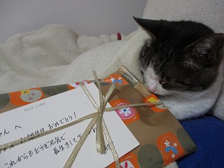IMG_0564ss.jpg