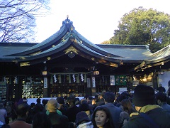 20160101_検見川神社04 - コピー.JPG