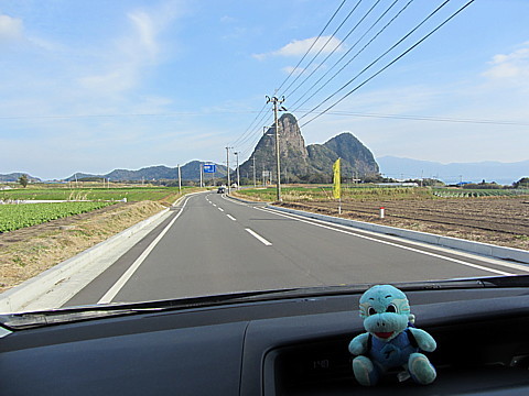 IMG_2950.jpg