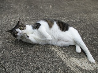 IMG_8007ss.jpg