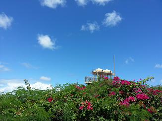20130512_095427.jpg
