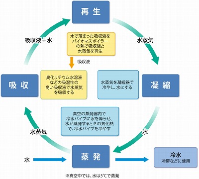 バイオ