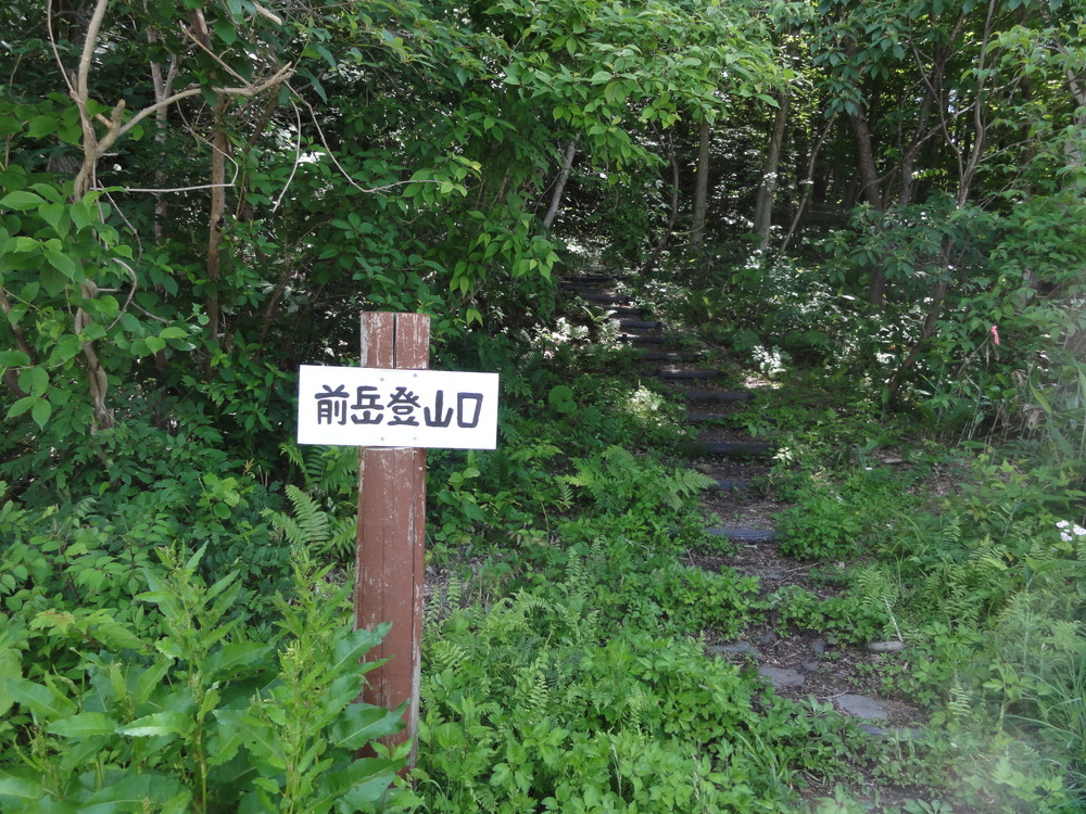 DSC08444.jpg
