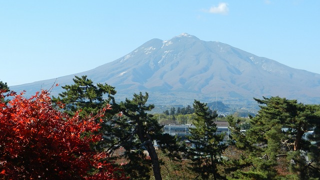 DSCN5439.jpg