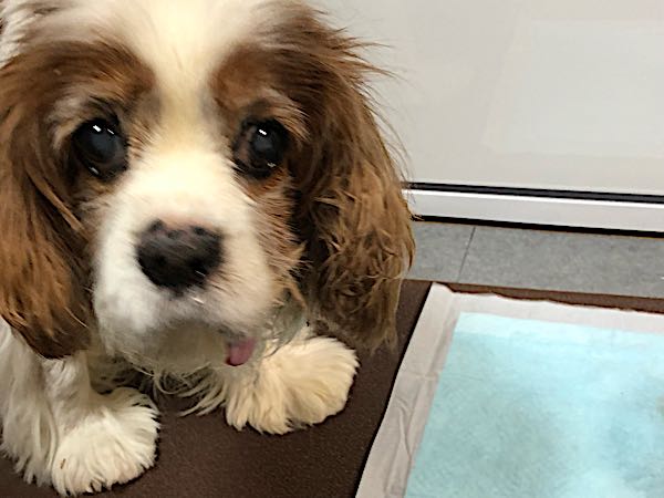 rblog-20180104215222-02.jpg