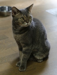 5DA_7196-27.jpg