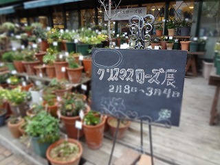 DSC00086.jpg