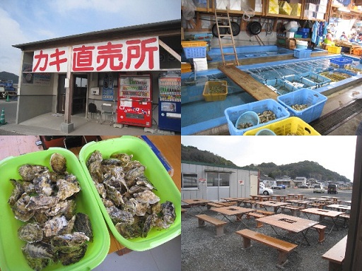 行橋市蓑島カキ直売所.jpg