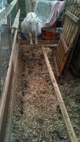 Passive Solar Henhouse