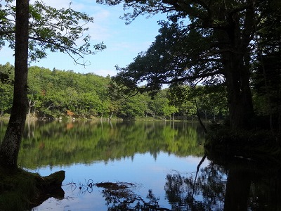 2012-10-07 09.53.35.jpg