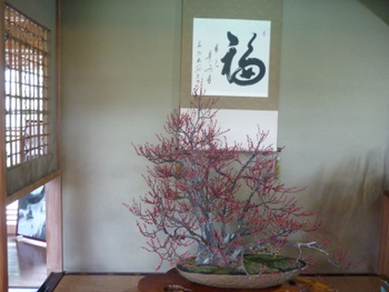 P1060230.JPG