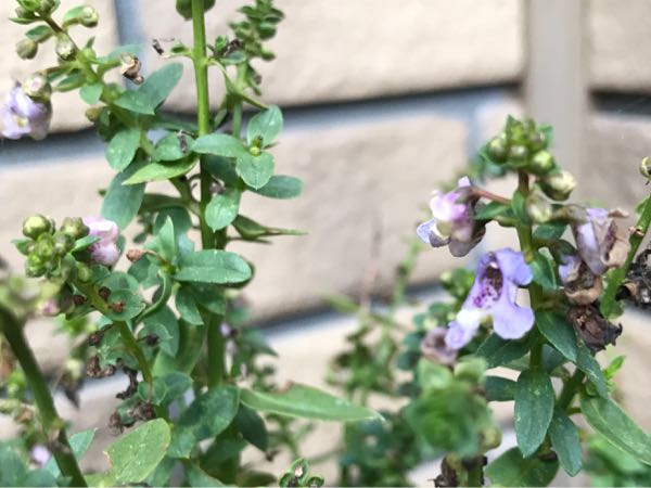 rblog-20181203161408-05.jpg