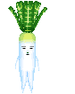 大根