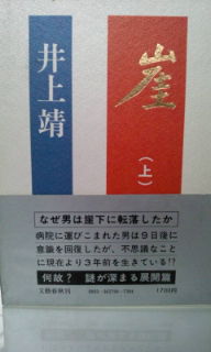 崖.jpg