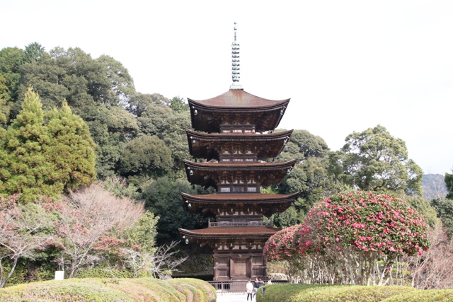 GX0A9212.jpg 瑠璃光寺.jpg